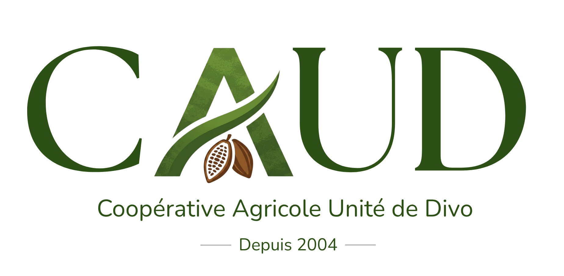 LOGO VALIDE PNG